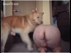 Chubby white wife bows over so her dog can team fuck her on movie
